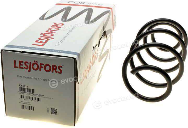 Lesjofors 4066814
