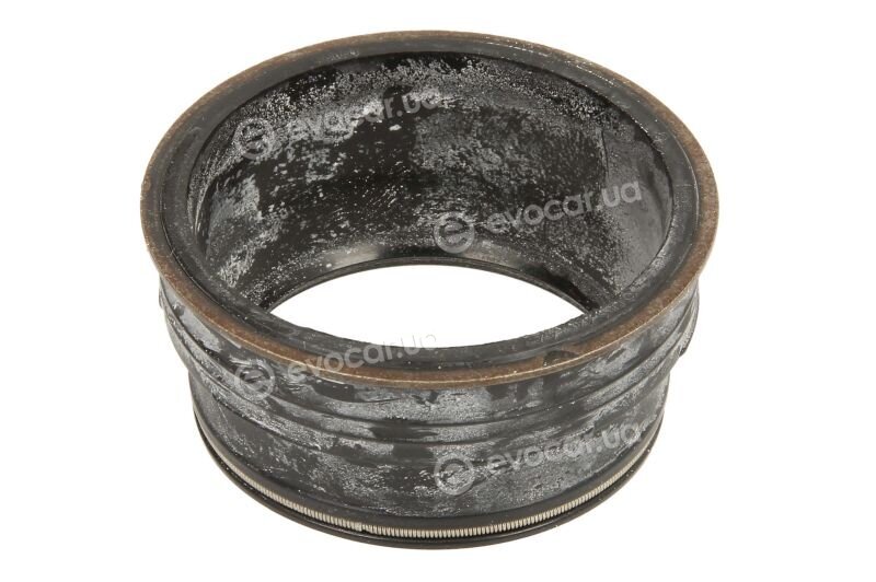 Elring 598.080