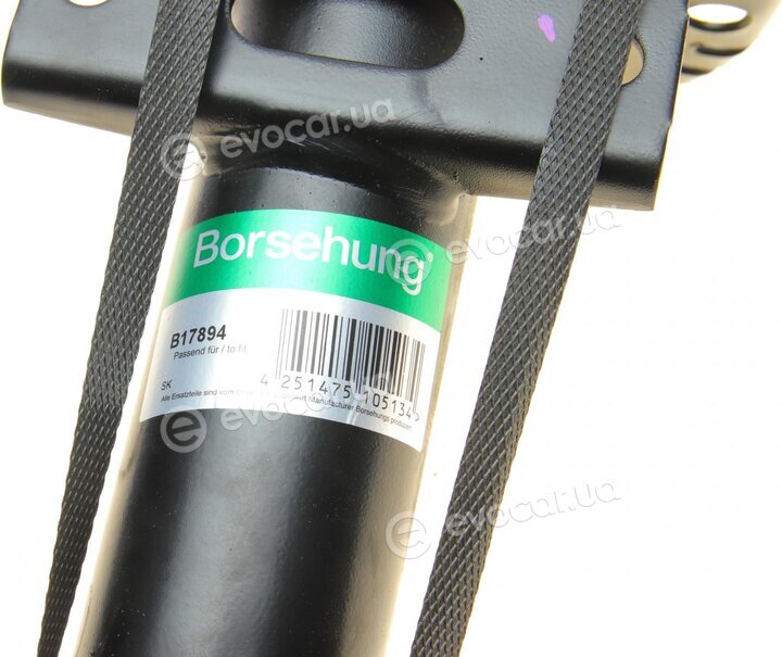 Borsehung B17894