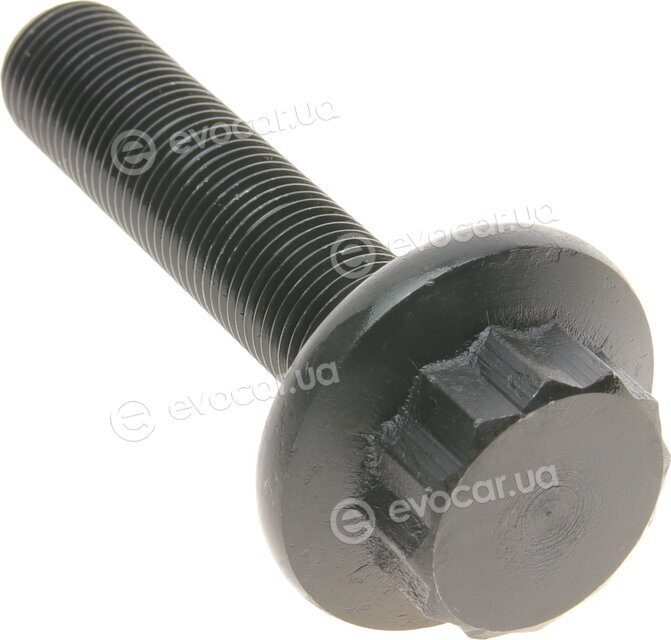 Solgy 216180