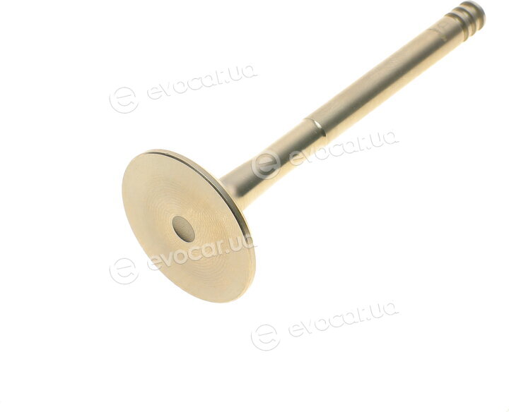 AMP PVWG138-B-0-N