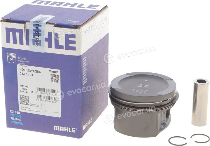Mahle 033 01 01