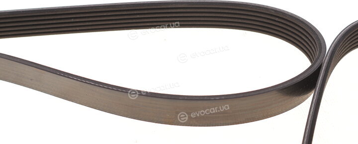 Dayco 6PK1920