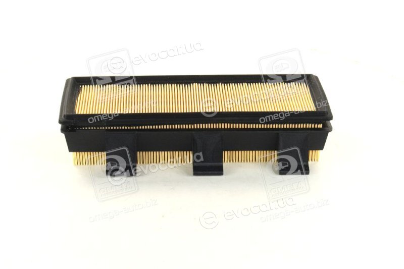 Mahle LX 824