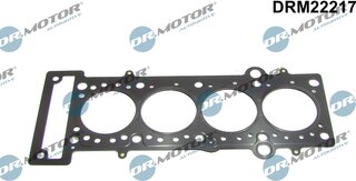Dr. Motor DRM22217