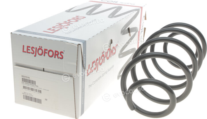 Lesjofors 4027579