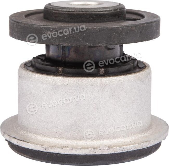 Raiso RL7P0077V