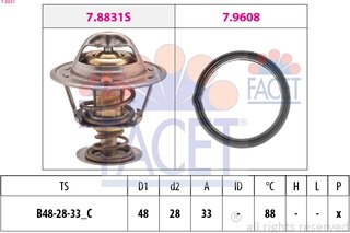 Facet 7.8831