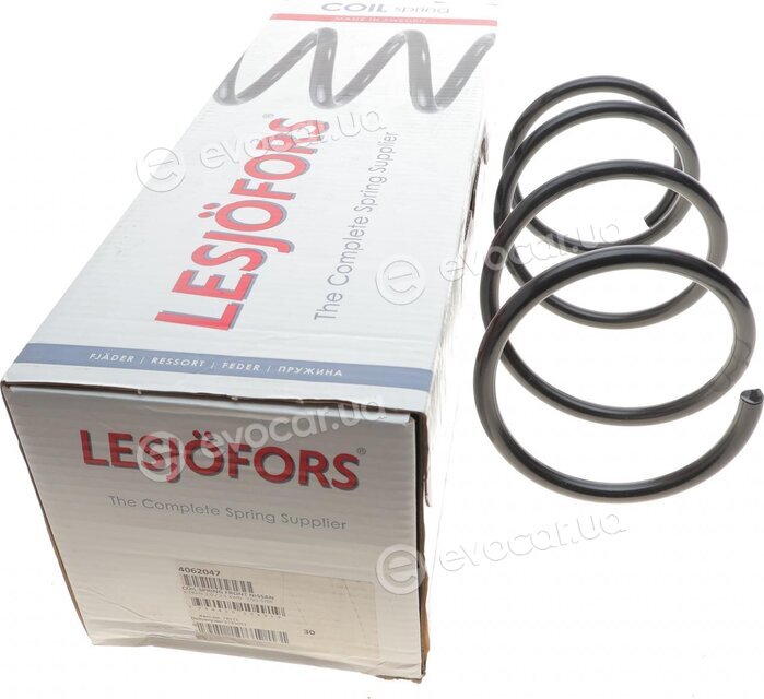 Lesjofors 4062047