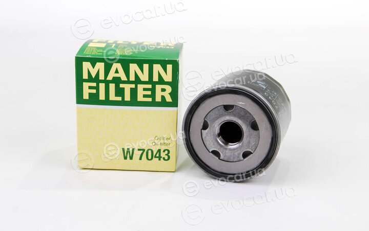 Mann W 7043