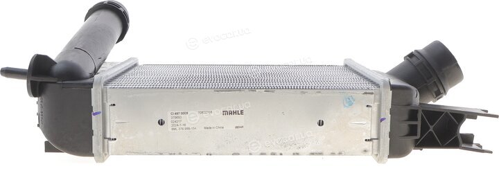 Mahle CI 497 000S