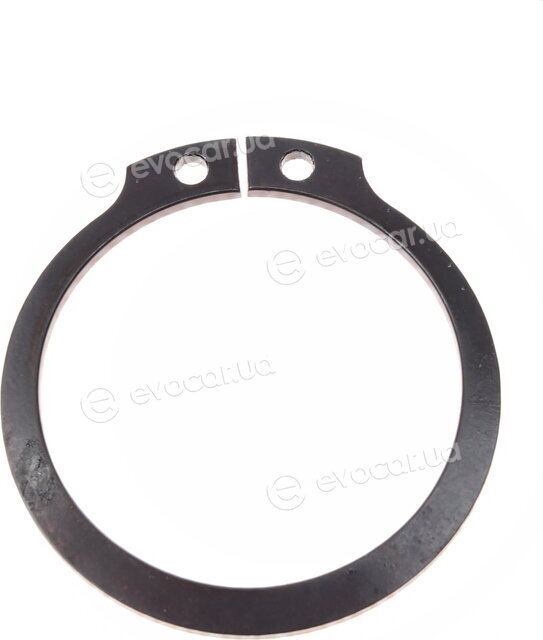 Solgy 203074