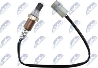 NTY ESL-NS-022