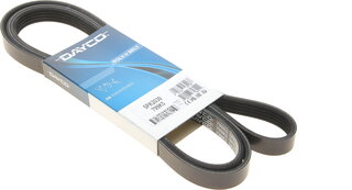 Dayco 5PK2030