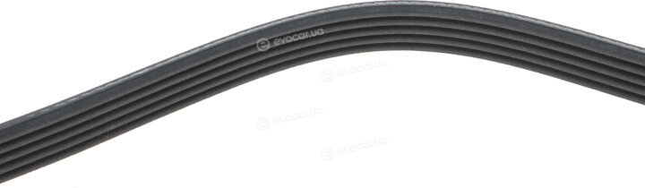 Dayco 5PK1245