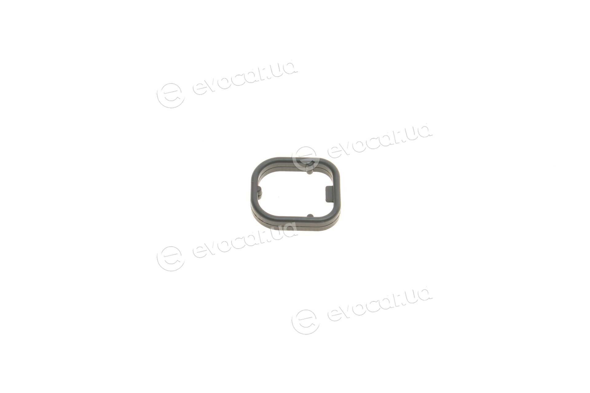 Van Wezel 06003556