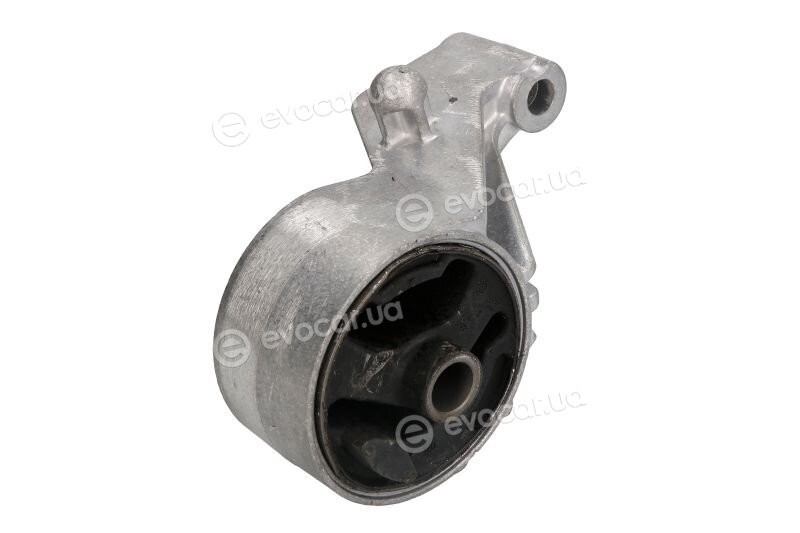 Reinhoch RH112187