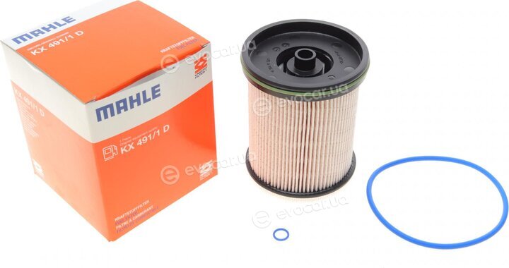 Mahle KX 491/1D