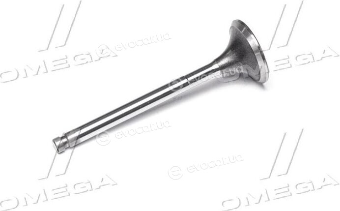 Gunes 3987