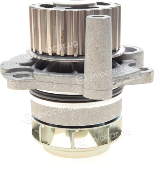 Hepu P587
