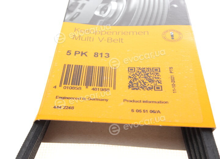 Continental 5PK813