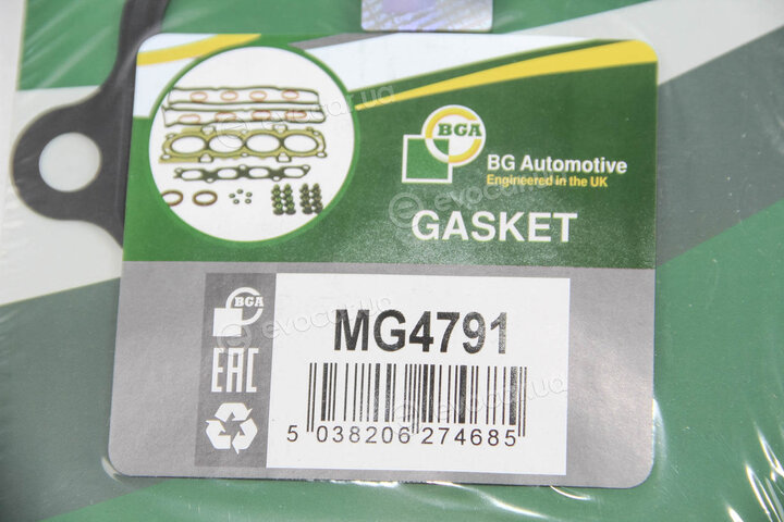 BGA MG4791