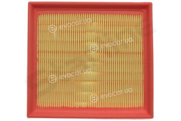 Starline SF VF7552