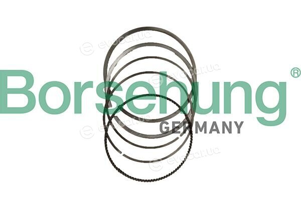 Borsehung B10377