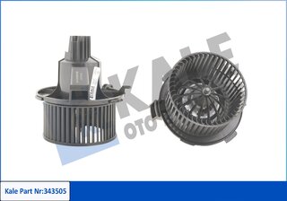 Kale 343505