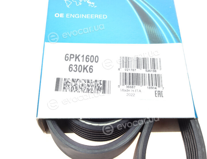 Dayco 6PK1600