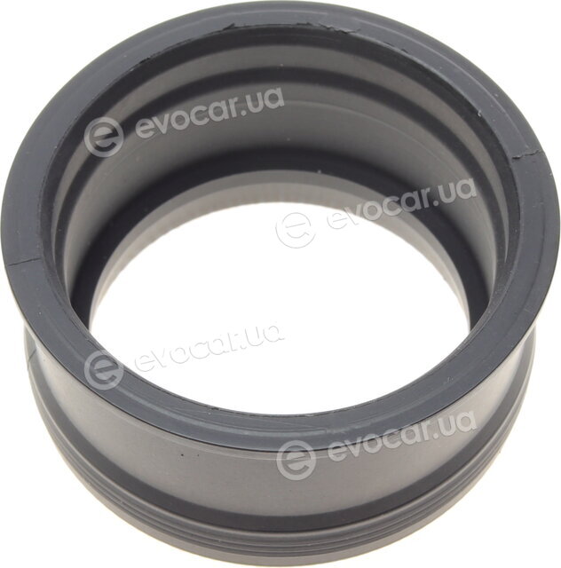 Elring 519.300