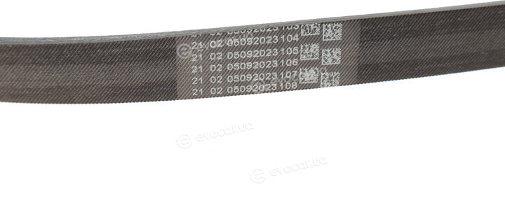 Continental 6PK860 ELAST