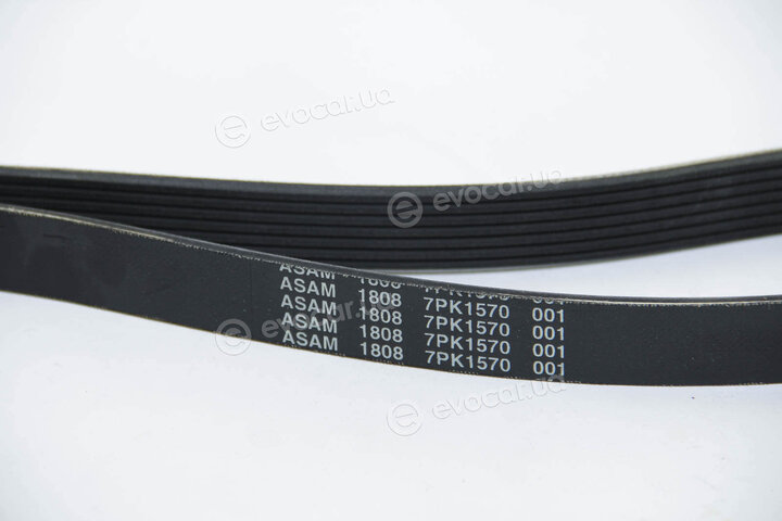 Asam 55987