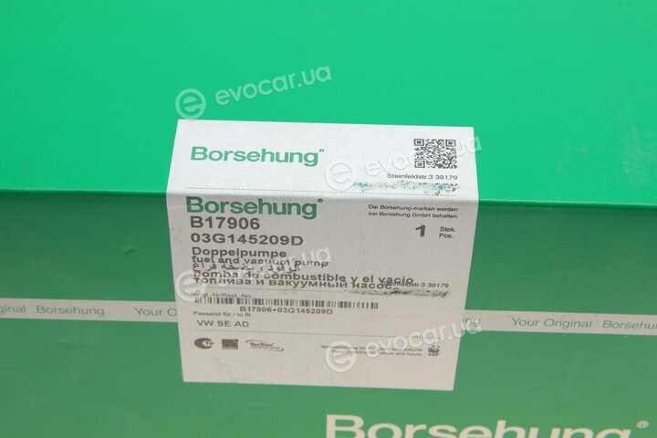 Borsehung B17906