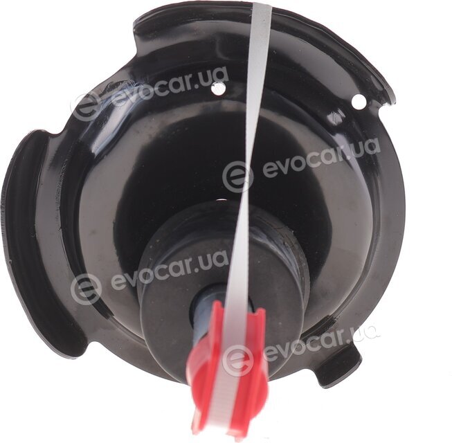 Sachs 316 327