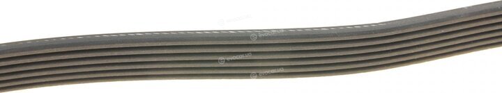 Dayco 6PK2255