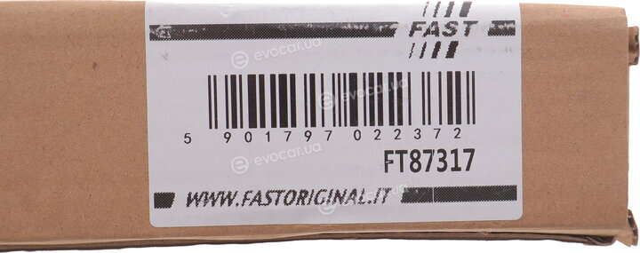 Fast FT87317
