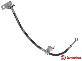 Brembo T 30 061