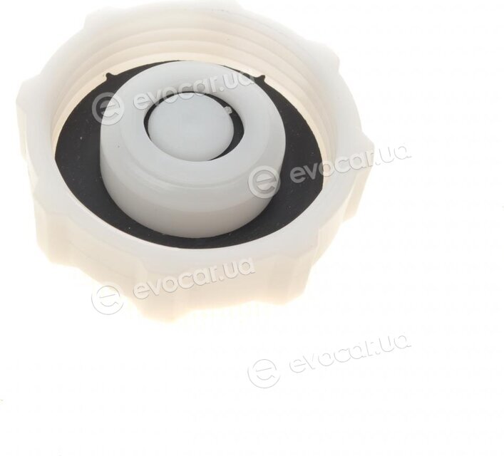 AIC 55733