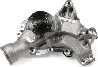 Hepu P1526