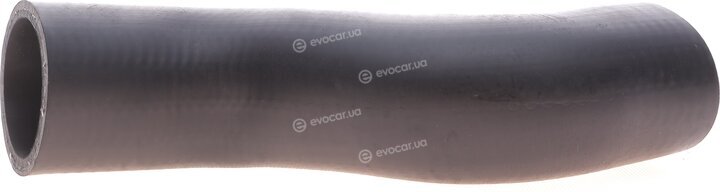 Solgy 114007