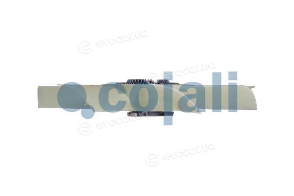Cojali 7035102