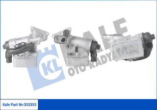 Kale 353355