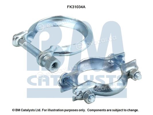 BM Catalysts FK31034