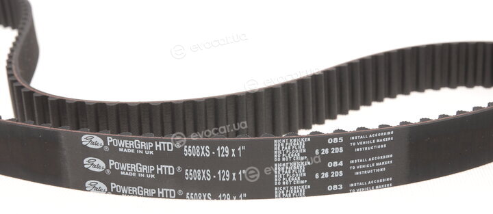 Gates K025508XS