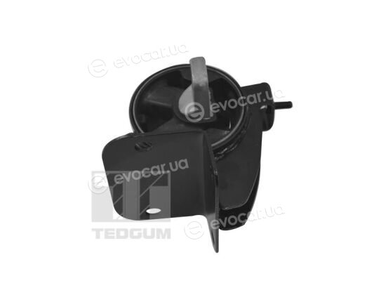 Tedgum TED11042