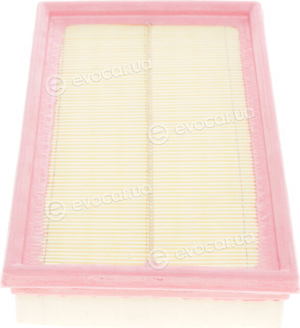 Solgy 103039