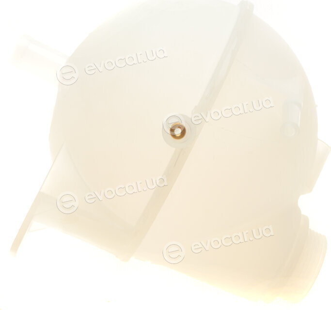 DP CS 24218