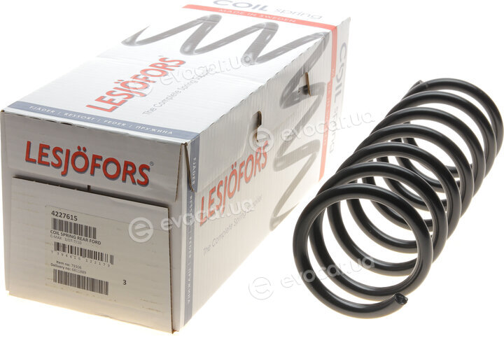 Lesjofors 4227615