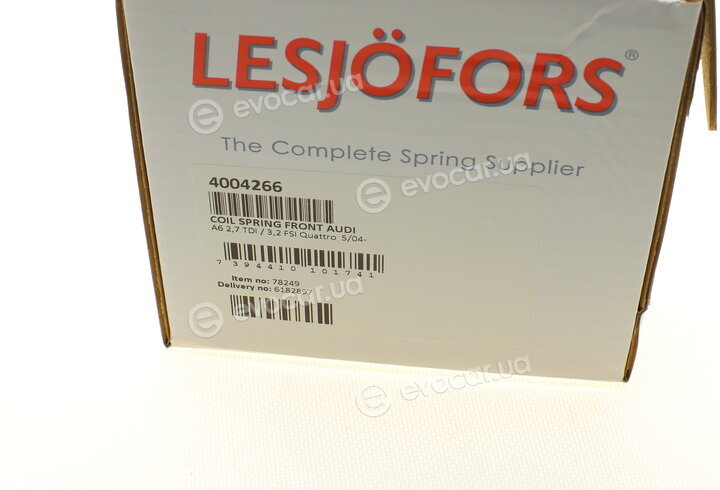 Lesjofors 4004266